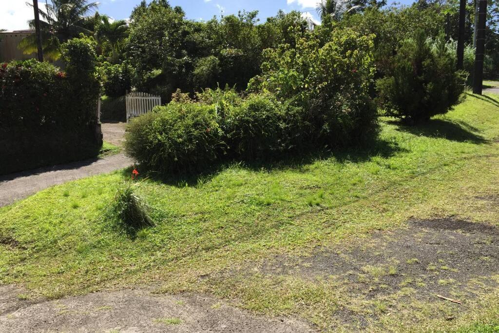 Logement en pleine verdure tropicale -10 min plage Le Morne-Rouge Buitenkant foto